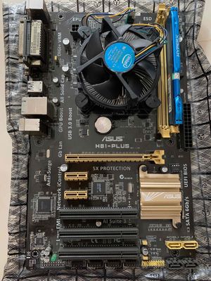 H81 Asus combo chip ram