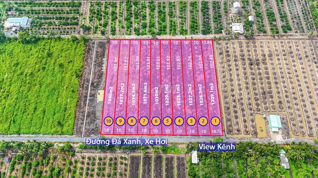1000m2 vườn F0 view kênh đg xe tải quay đầu, điện nước vào tới đất. Mua bán đất tại Huyện Bến Lức Long An được đăng bởi phan Hoa hình 1