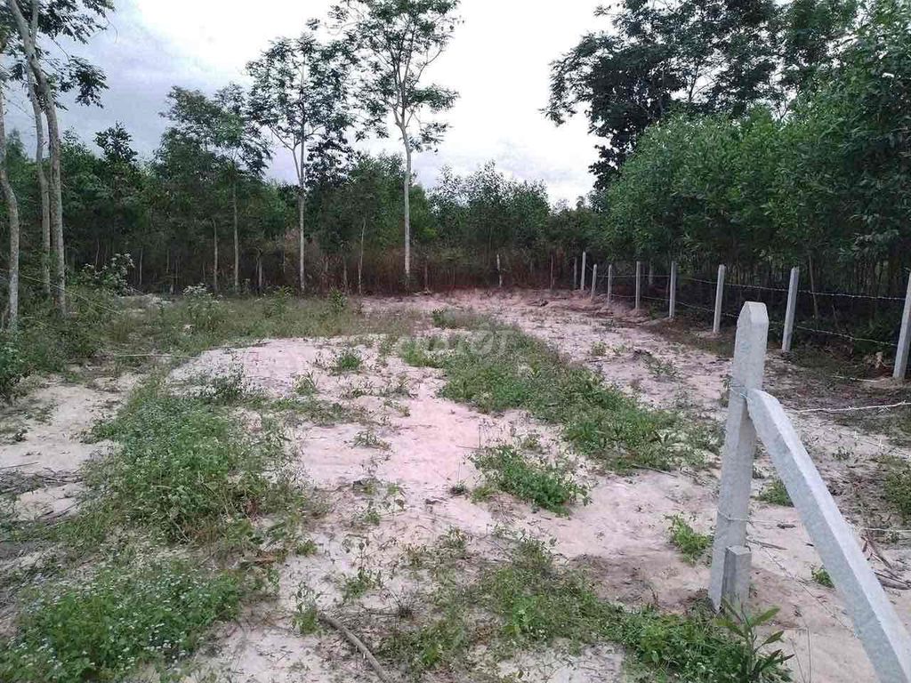 Định An sale lô cuối từ 790 còn 550tr tl (700m2 ) có suối kế bên. Mua bán đất tại Huyện Dầu Tiếng Bình Dương được đăng bởi Mẫn Nhi hình 1