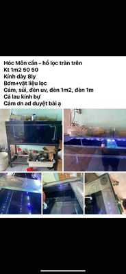 Hồ cá 1m2x50x50 Kính 8ly. Mua bán Phụ kiện, Thức ăn, Dịch vụ tại Huyện Hóc Môn Tp Hồ Chí Minh được đăng bởi Nguyễn Đức Minh