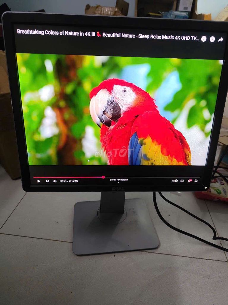 Mh dell vuông đồ hoạ 19" hd+ nâng hạ lỗi rất nhẹ