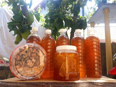 Mật ong daklak. Mua bán Đồ ăn, thực phẩm và các loại khác tại Thành phố Huế Thừa Thiên Huế được đăng bởi Văn Tiên