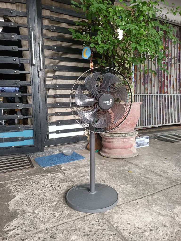 Quạt đứng Lorente LT-531 đời mới 2025. Mua bán Quạt tại Quận Cẩm Lệ Đà Nẵng được đăng bởi Hoàng Tôn hình 1