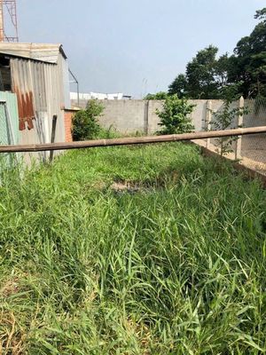 Cô Sáu gửi bán lô đất thổ cư 80m2, Tân Thạnh Đông, Củ Chi, Giá 980 tr.. Mua bán đất tại Huyện Củ Chi Tp Hồ Chí Minh được đăng bởi Cao Phát Lộc