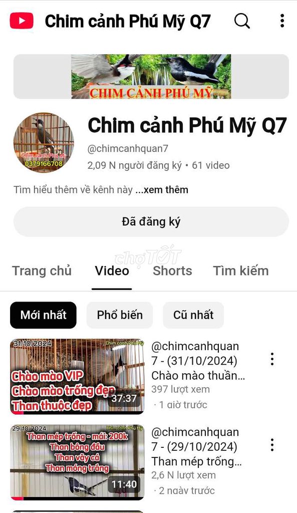 YouTube chim cảnh quận 7