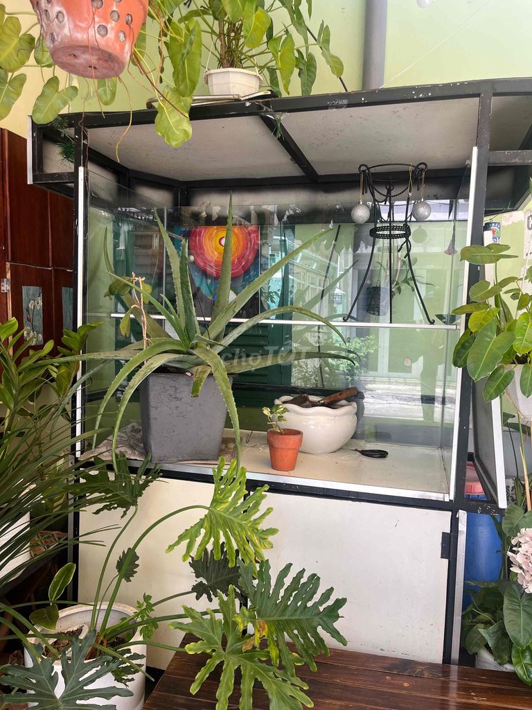 Tủ trưng bày lưu động Kim loại Kính. Mua bán Nội thất, đồ gia dụng khác tại Quận Phú Nhuận Tp Hồ Chí Minh được đăng bởi NGUYENHOUSE NHÀ THẬT hình 1