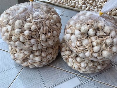 Hành tỏi Lý Sơn, Hải sản tươi sống. Mua bán Đồ ăn, thực phẩm và các loại khác tại Quận Gò Vấp Tp Hồ Chí Minh được đăng bởi Kiwi Store