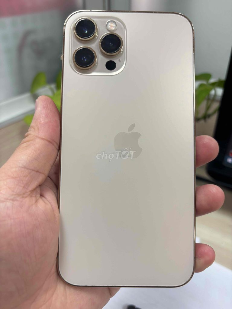 Bán iPhone 12 Pro Max 128GB màu Gold