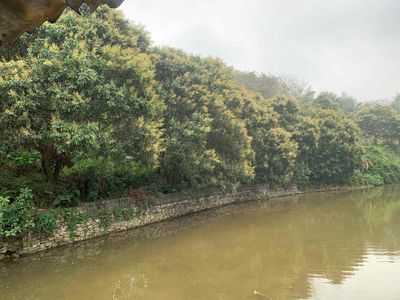 Bán 12.643m2(1,26ha) Giá chỉ Hơn 600k/m2 Có Nhà Vườn Ao Tại Lương Sơn. Mua bán đất tại Huyện Lương Sơn Hòa Bình được đăng bởi Vũ Mộc Hoa Luyến