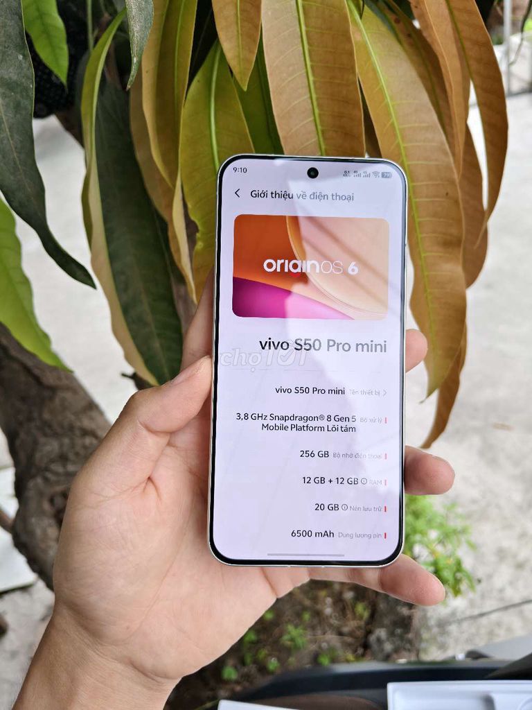 Vivo S50 Pro Mini 256GB Trắng. Mua bán Điện thoại tại Huyện Cẩm Giàng Hải Dương được đăng bởi Khải Minh hình 1