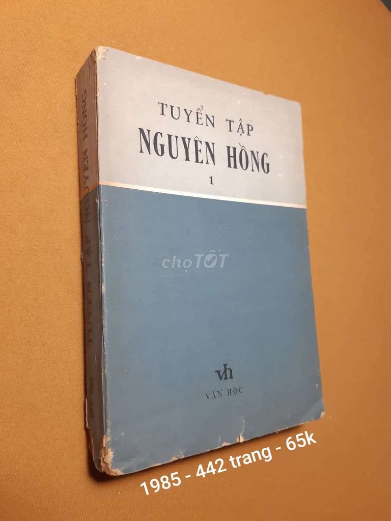 Truyện tuyển tập Nguyên Hồng 1