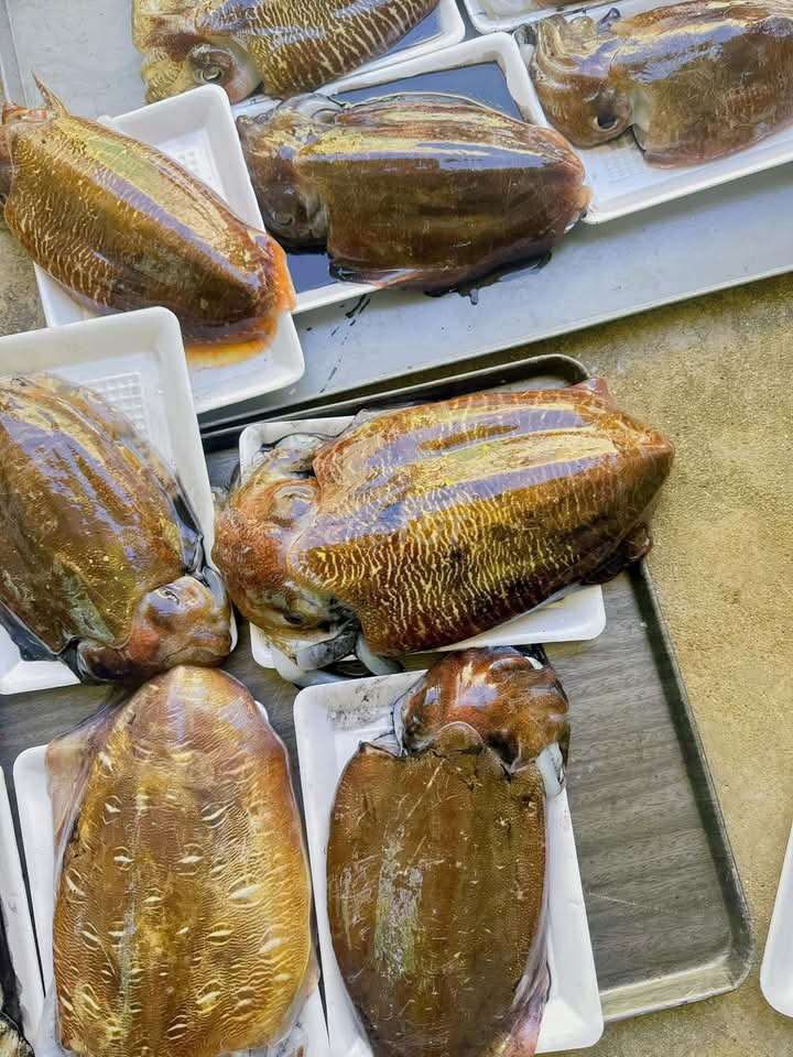 Mực nang - mực lá ( câu). Mua bán Đồ ăn, thực phẩm và các loại khác tại Quận Phú Nhuận Tp Hồ Chí Minh được đăng bởi Hải Sản Mai An hình 4