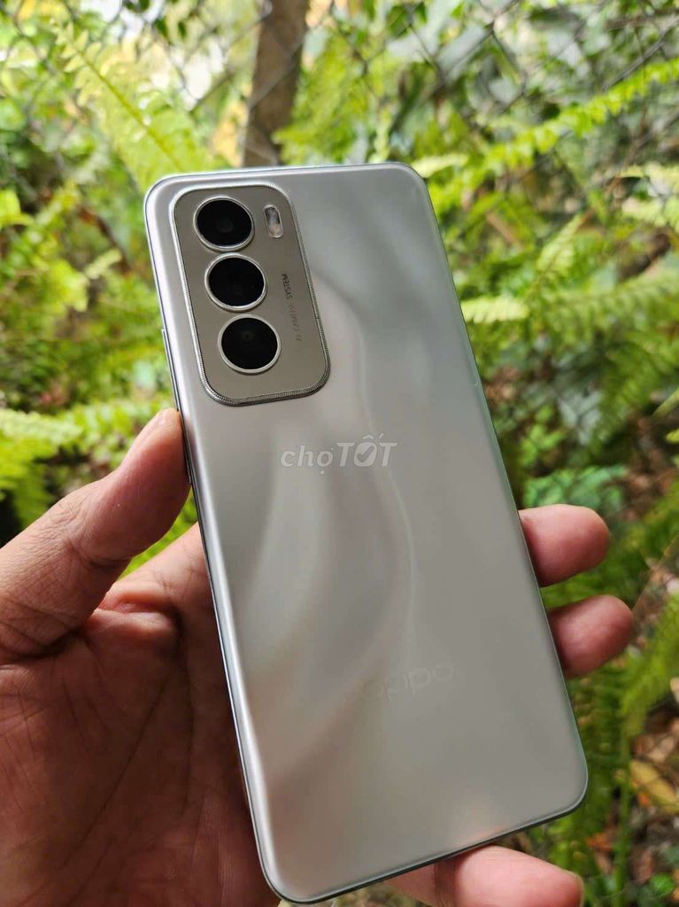 Oppo Reno 12 5G Ram12 256GB. Mua bán Điện thoại tại Thành phố Mỹ Tho Tiền Giang được đăng bởi Cầm đồ Kim Đồng Mỹ Tho Tiền Giang  hình 1