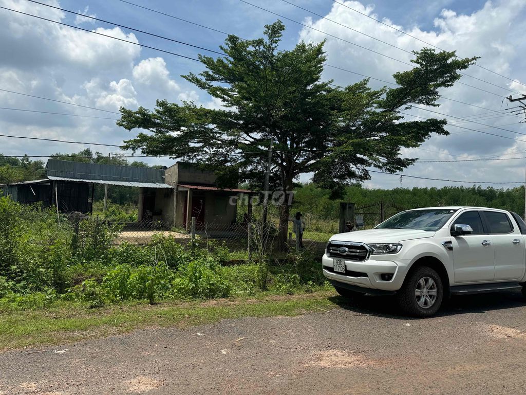 1 HECTA ĐẤT CÓ NHÀ MẶT TIỀN ĐƯỜNG NHỰA TIỆN TRỒNG TRỌT,NHÀ XƯỞNG, BP. Cho thuê đất tại Huyện Lộc Ninh Bình Phước được đăng bởi Phạm Thị Hoàng Diễm hình 5