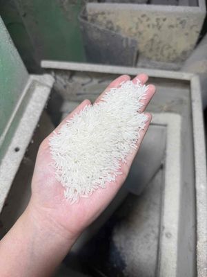 Gạo ST25 mới. Mua bán Đồ ăn, thực phẩm và các loại khác tại Quận Bình Tân Tp Hồ Chí Minh được đăng bởi Duy Khánh