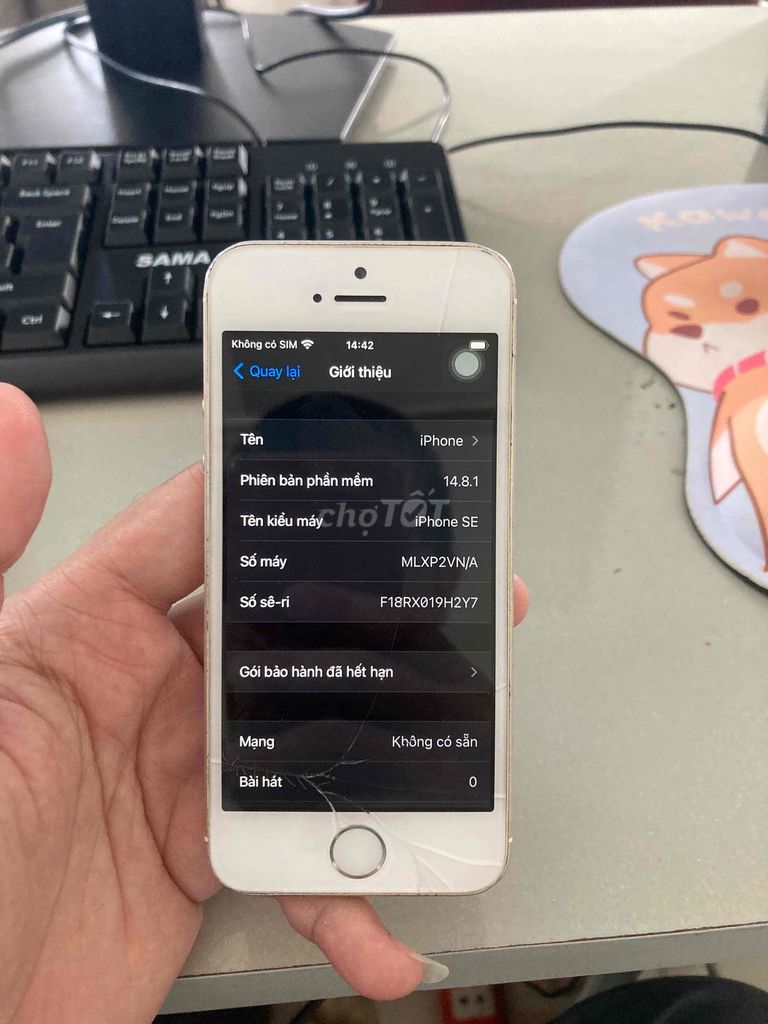 Apple iPhone SE 64GB Trắng. Mua bán Điện thoại tại Quận Bình Thuỷ Cần Thơ được đăng bởi Tên chưa cung cấp hình 1