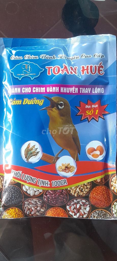 Chim vành khuyên đã huấn luyện. Mua bán Chim tại Thành phố Đông Hà Quảng Trị được đăng bởi quoc phuong Vo hình 1