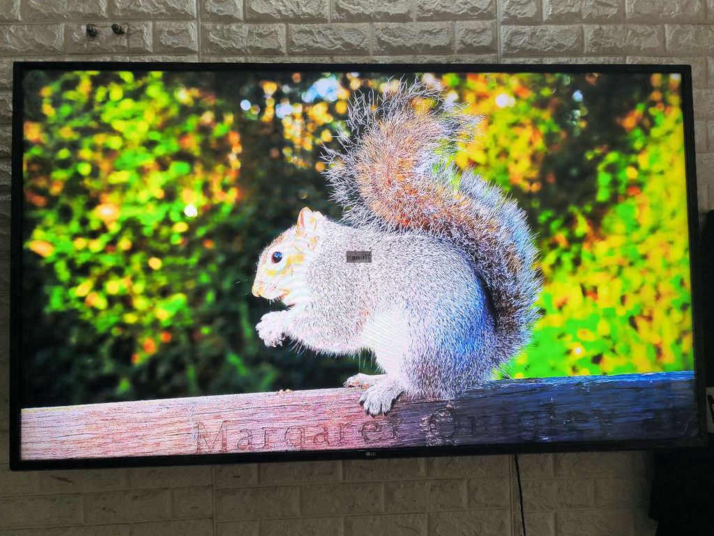 Smart TV LG 65 inch 4k - Ảnh đep