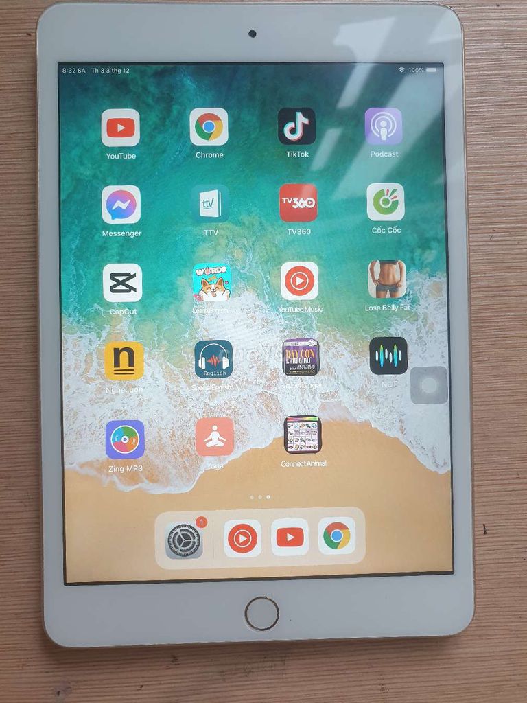 Ipad mini 3 giá rẻ cho người dùng