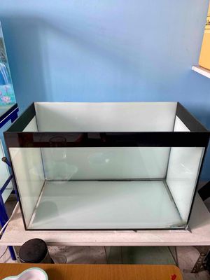 Hồ thanh lý. Mua bán Phụ kiện, Thức ăn, Dịch vụ tại Quận Tân Phú Tp Hồ Chí Minh được đăng bởi Bi