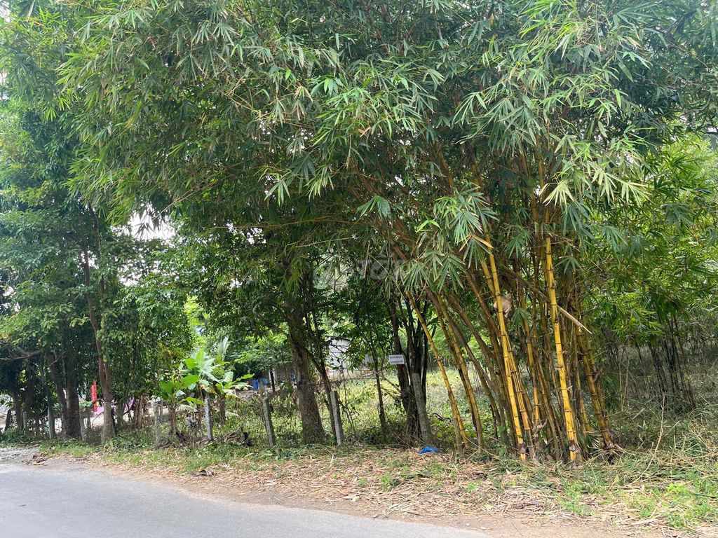 thích hợp đầu tư, kho bãi, cây xăng.. Mua bán Đất tại Huyện Tri Tôn An Giang được đăng bởi Lê Nga hình 4
