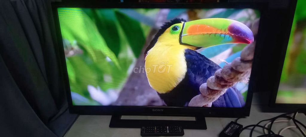 tivi led sony 32in có dvb t2 đang xài đẹp. Mua bán Tivi, Âm thanh tại Huyện Bình Chánh Tp Hồ Chí Minh được đăng bởi Pham vinh hình 1