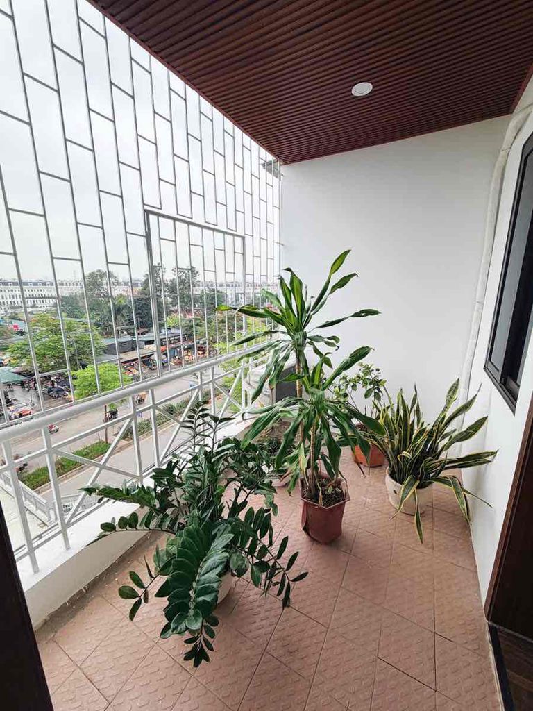 Giảm 500tr căn CC 3 ngủ Đền Lừ-Sát phố-Sổ đỏ 95/160m;3N;2VS - ảnh 5