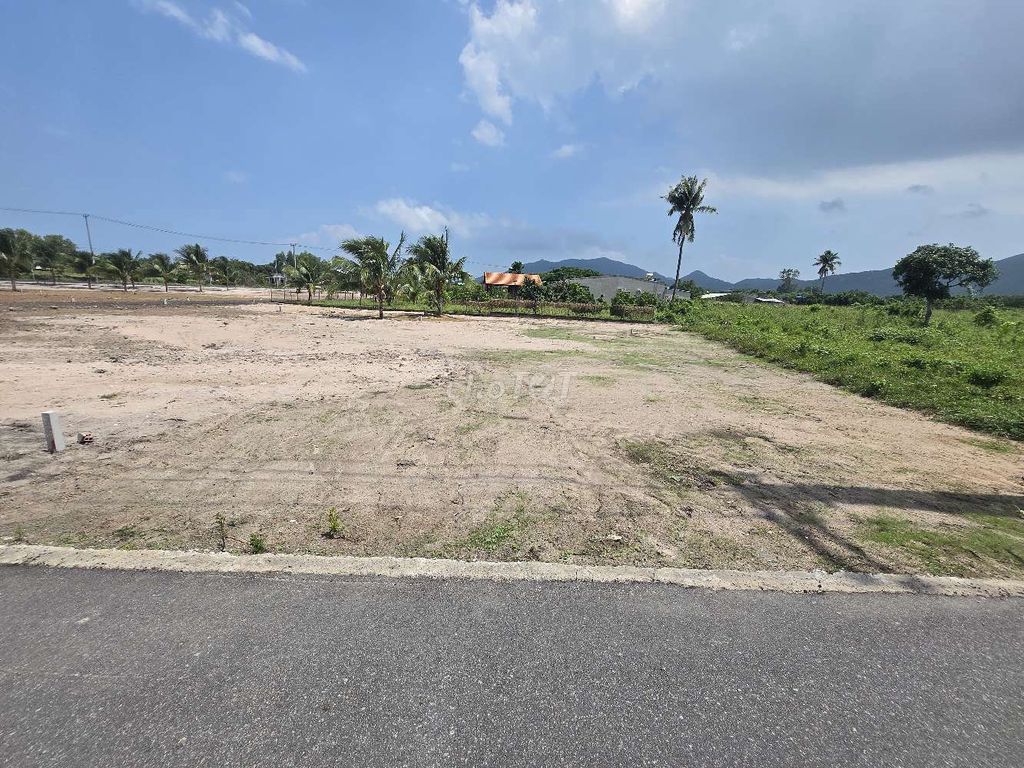 BÁN ĐẤT VEN BIỂN PHƯỚC HẢI 293M² NỞ HẬU CHỦ 2,3 TỶ