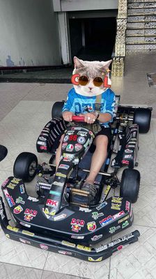 Bán xe Đua Gokart chuyên nghiệp. Mua bán Xe điện tại Thành phố Thủ Dầu Một Bình Dương được đăng bởi lê thành 