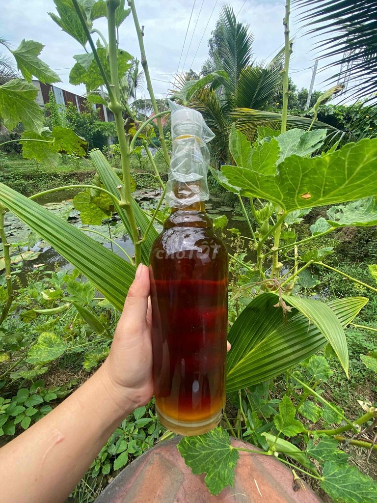 Nước mắm Miền Tây Cá muối 1 lít thủ công. Mua bán Đồ ăn, thực phẩm và các loại khác tại Huyện Tháp Mười Đồng Tháp được đăng bởi THUÝ NAKA hình 1
