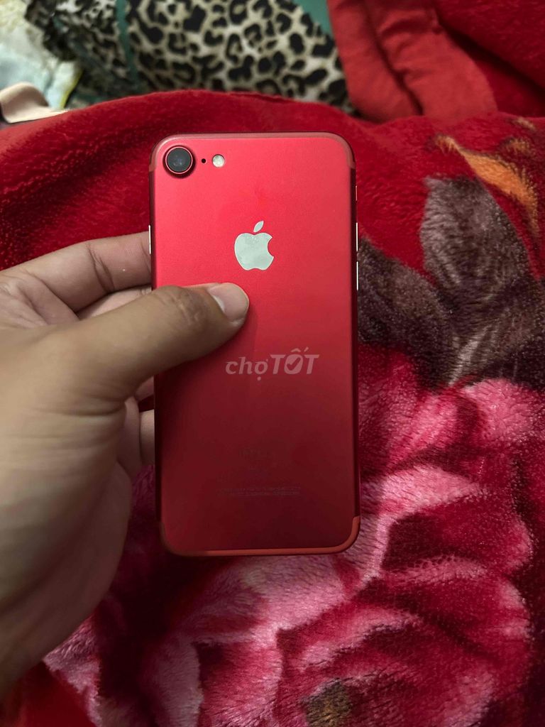 Apple iPhone 7 Đỏ 100%. Mua bán Điện thoại tại Thành phố Cà Mau Cà Mau được đăng bởi Toàn  hình 1