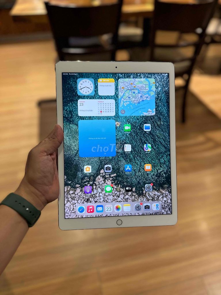 iPad Pro 12.9inch gen 2 256g wifi + 4g