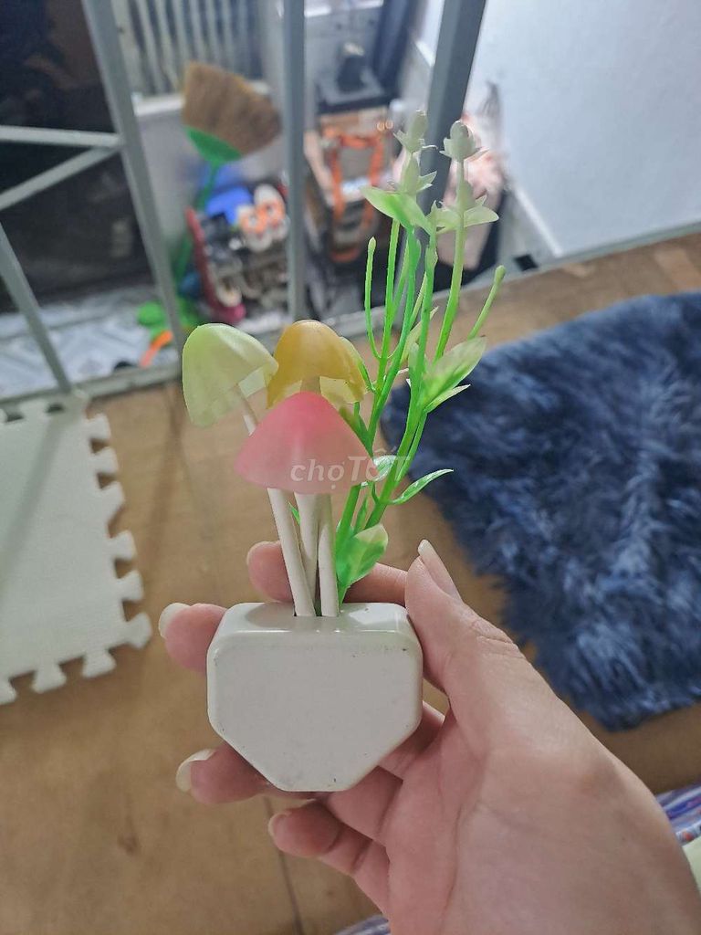 Đèn ngủ cảm ứng nhiều màu. Mua bán Đèn tại Thành phố Thủ Đức Tp Hồ Chí Minh được đăng bởi Thị Tài hình 1