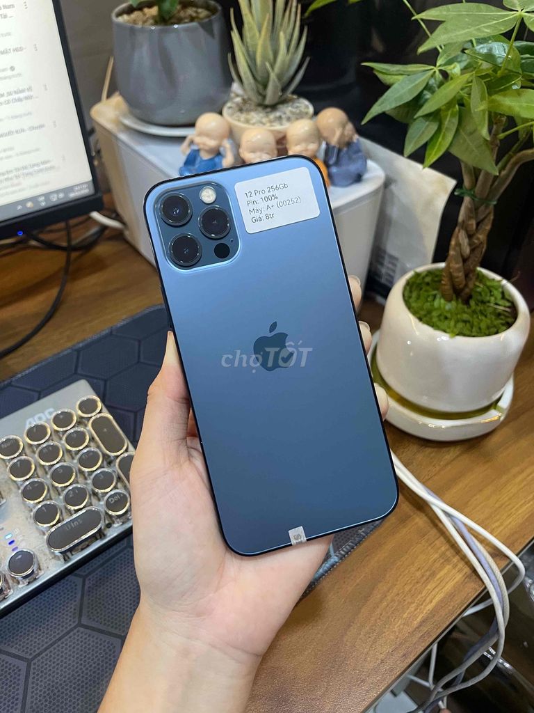 iPhone 12 Pro 256GB Xanh KH/A zin đẹp 99%. Mua bán Điện thoại tại Huyện Hóc Môn Tp Hồ Chí Minh được đăng bởi Luân Hoài hình 1