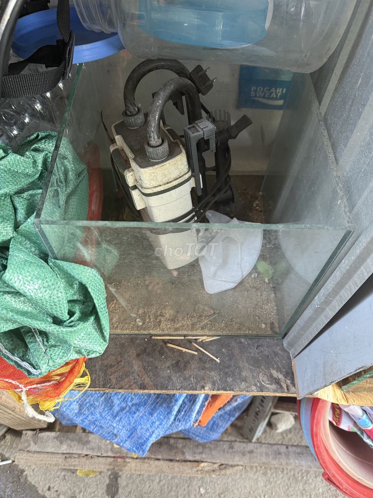 Hồ cá lọc nước 30x30x30 cm. Mua bán Phụ kiện, Thức ăn, Dịch vụ tại Quận Cẩm Lệ Đà Nẵng được đăng bởi Dragon ball hình 1