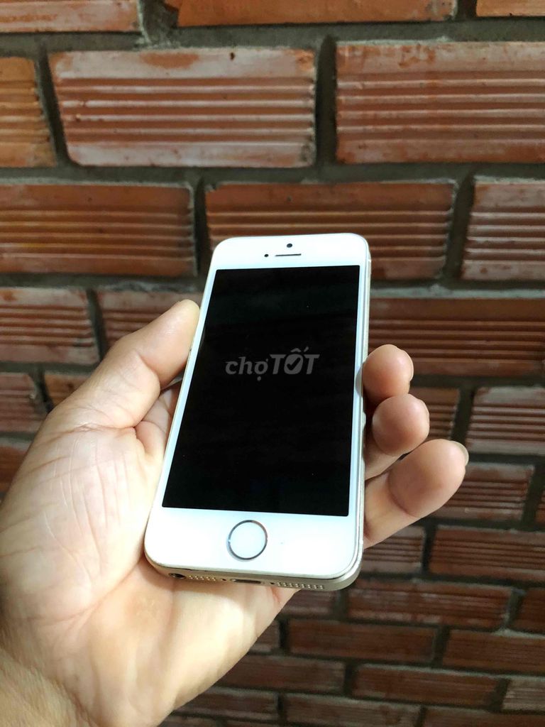 Apple iPhone SE 2016 Vàng. Mua bán Điện thoại tại Huyện Gò Dầu Tây Ninh được đăng bởi Mua Bán Âm Thanh Vs  ĐTDĐ Cổ  hình 1