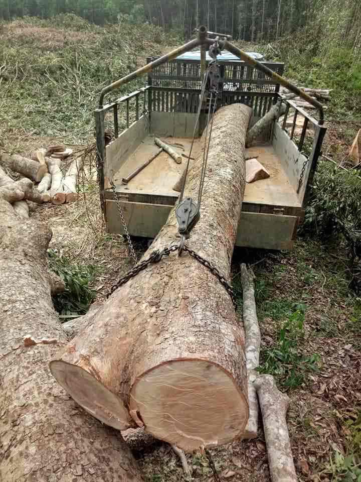 bán ce công nông Mitsubishi D4050,. Mua bán Phương tiện khác tại Huyện Quế Sơn Quảng Nam được đăng bởi Phanvanhai hình 3