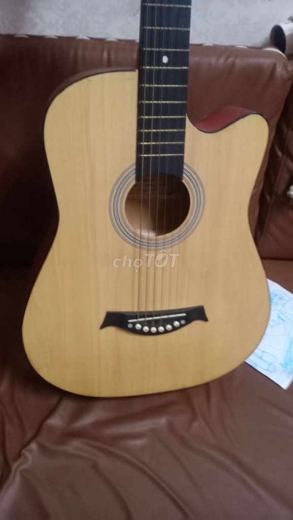 Acoustic guitar