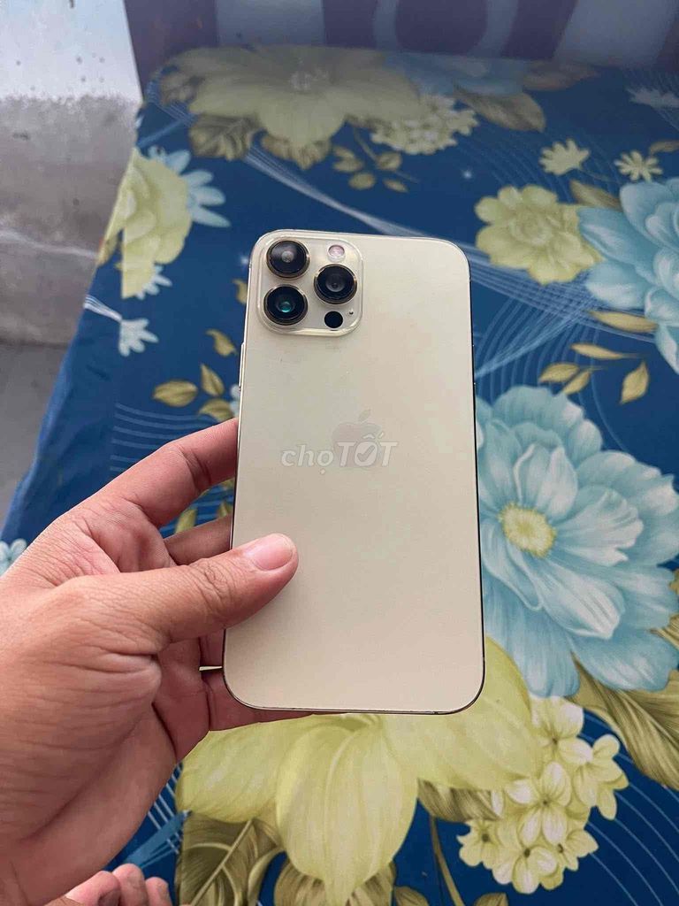 iPhone 13 Pro Max máy tàu bao ae nghe gọi. Mua bán Điện thoại tại Huyện Chợ Gạo Tiền Giang được đăng bởi Nguyễn Trung hình 1