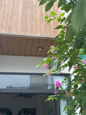 bán nhà Gò Vấp Thoái vốn giảm giá 500 triệu chỉ còn 5,99 tỷ