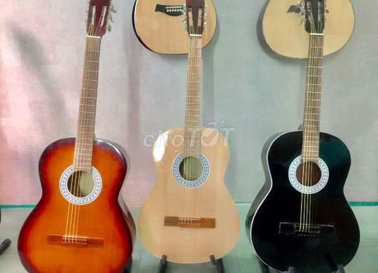 Đàn guitar giá rẻ tập chơi msp:7530