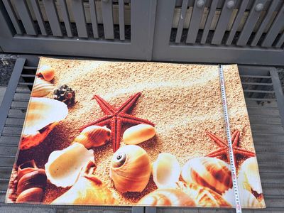 Thanh lý thảm nhung 3d hình sao biển 60x90cm. Mua bán Cây cảnh, đồ trang trí tại Quận Tân Phú Tp Hồ Chí Minh được đăng bởi NGuyet