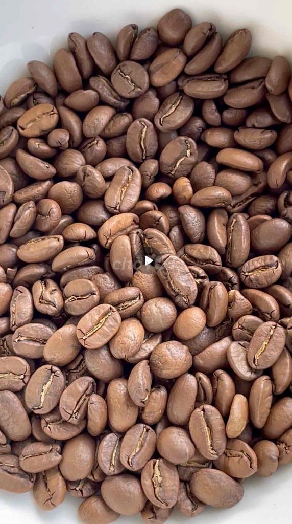 Hạt cà phê rang ORIGIN Arabica S18, Robusta S18. Mua bán Đồ ăn, thực phẩm và các loại khác tại Quận 12 Tp Hồ Chí Minh được đăng bởi Nguyễn Văn Tiến hình 1