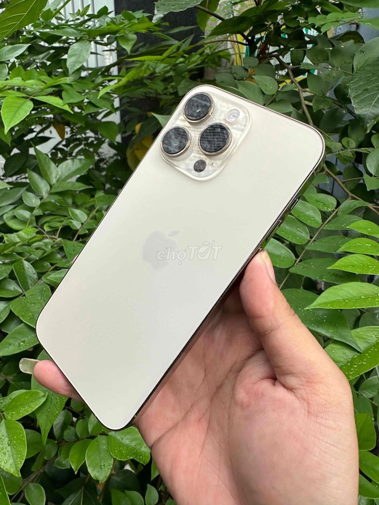 Apple iPhone 14 Pro Max 128GB Vàng Đã sử dụng. Mua bán Điện thoại tại Huyện Bình Chánh Tp Hồ Chí Minh được đăng bởi Lâm mobiphone hình 1