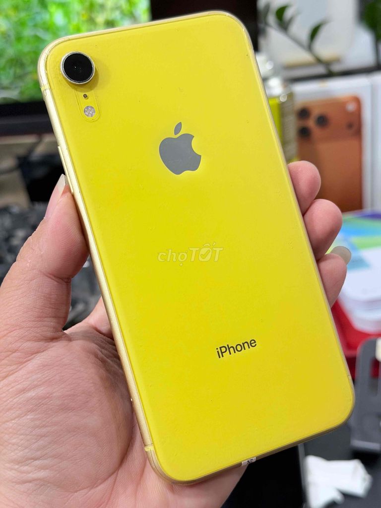 Xr qt zin đẹp full bán hay gl đt bù trừ. Mua bán Điện thoại tại Thành phố Biên Hòa Đồng Nai được đăng bởi HUNG  hình 1