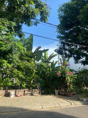 Đất biển Tân Trà- Ngũ Hành Sơn giá *** thị trường. Mua bán đất tại Quận Ngũ Hành Sơn Đà Nẵng được đăng bởi Mai Xuân Nghĩa 