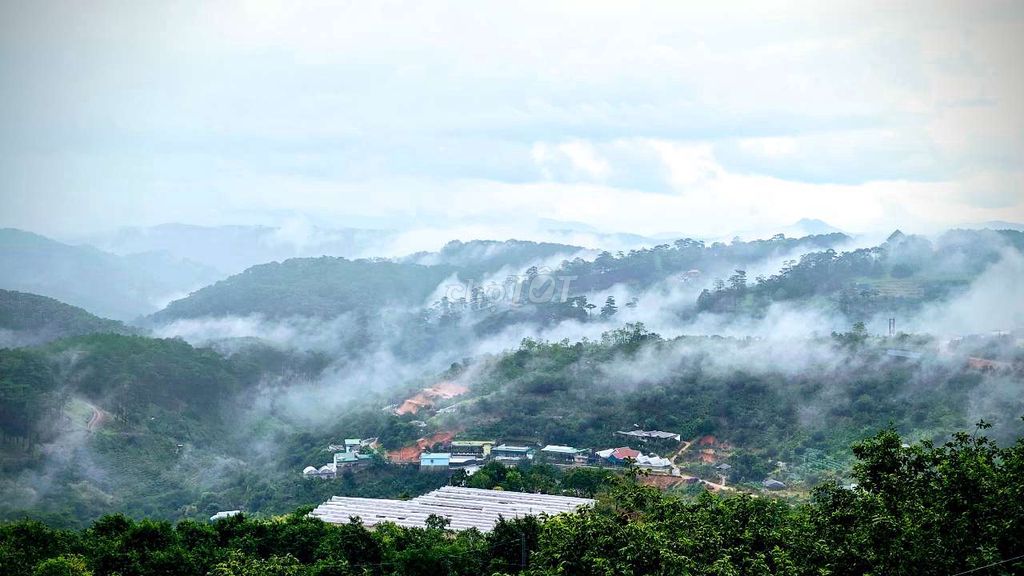 Nhà Mặt tiền quốc lộ 20 view săn mây