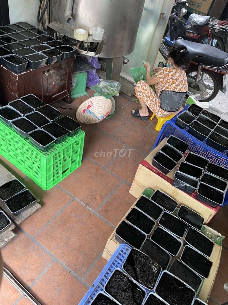 /viec-lam-quan-hai-ba-trung-ha-noi/123242317.htm#px=SR-stickyad-[PO-10][PL-top]?i=1