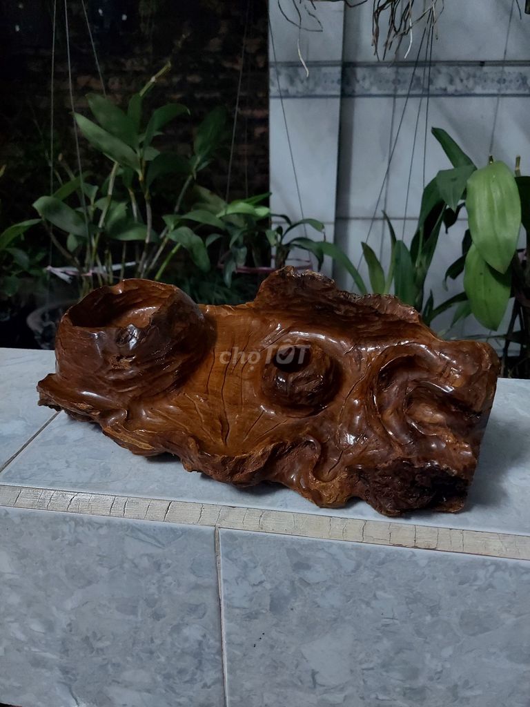 Gạt tàn trang trí_09. Mua bán Cây cảnh, đồ trang trí tại Huyện Vĩnh Cửu Đồng Nai được đăng bởi Đam mê hình 1