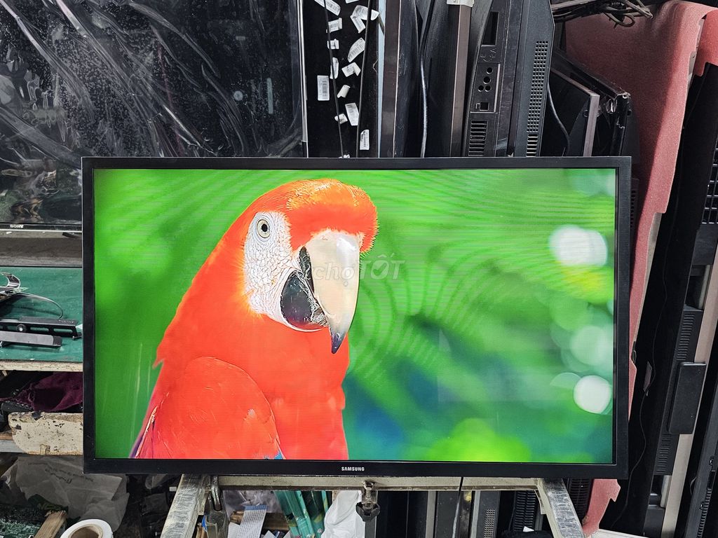 TV Samsung 32 inch HD - 32"T4202. Wifi Mỏng - 2023. Mua bán Tivi, Âm thanh tại Quận 12 Tp Hồ Chí Minh được đăng bởi Quốc Vinh hình 1